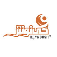 logo-keynoosh-500-color